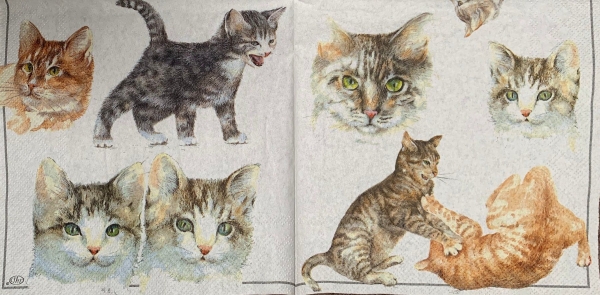 Serviette Katzen, Rarität